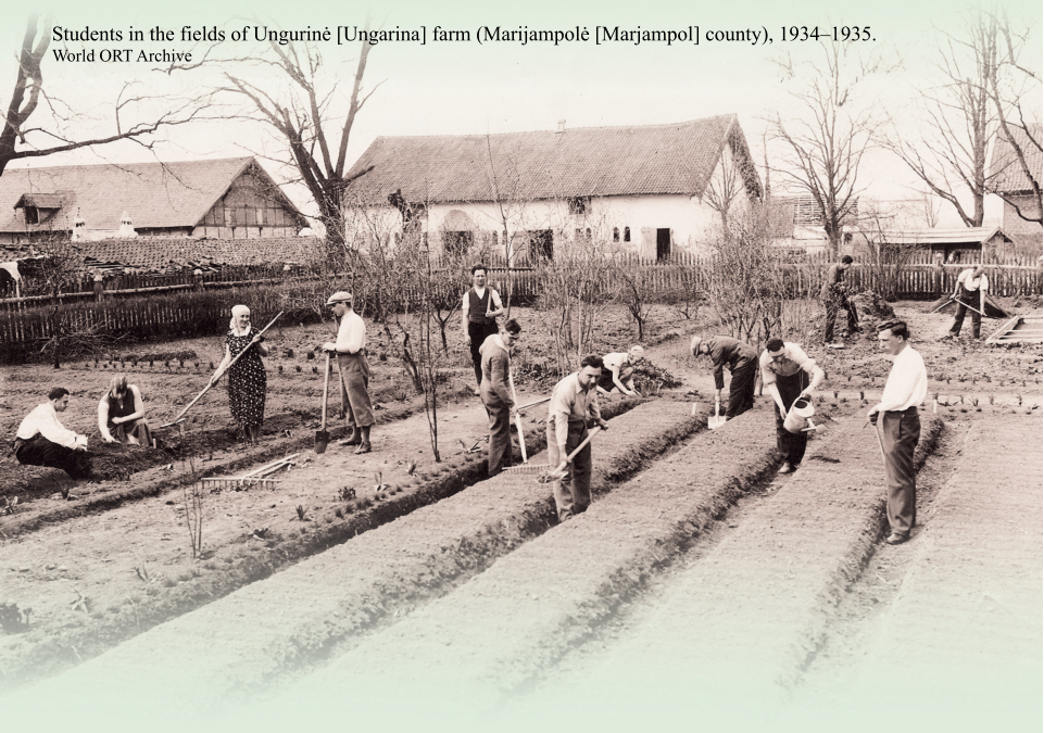 Students in the fields of Ungurinė [Ungarina] farm (Marijampolė [Marjampol] county), 1934–1935. World ORT Archive